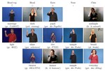 Quantifying Inconsistencies in the Hamburg Sign Language Notation System